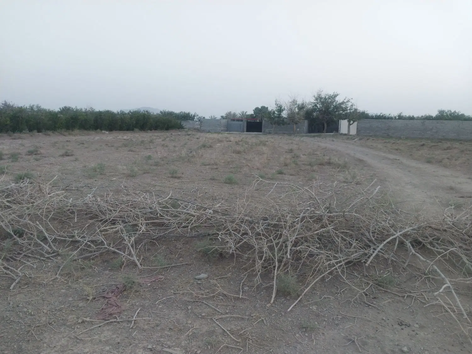 فروش زمین کشاورزی جهاد اباد
