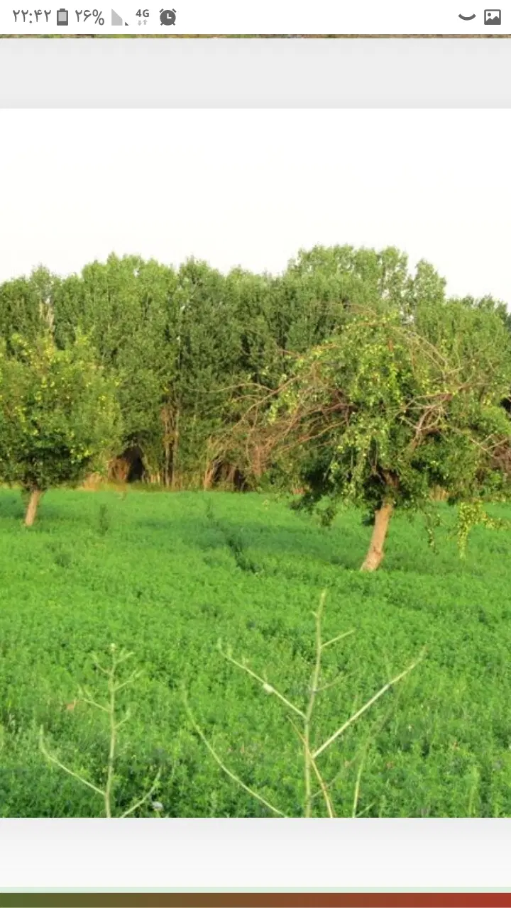 خانه ویلایی