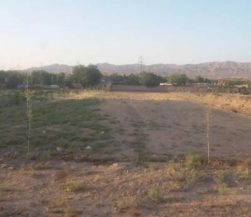 زمین