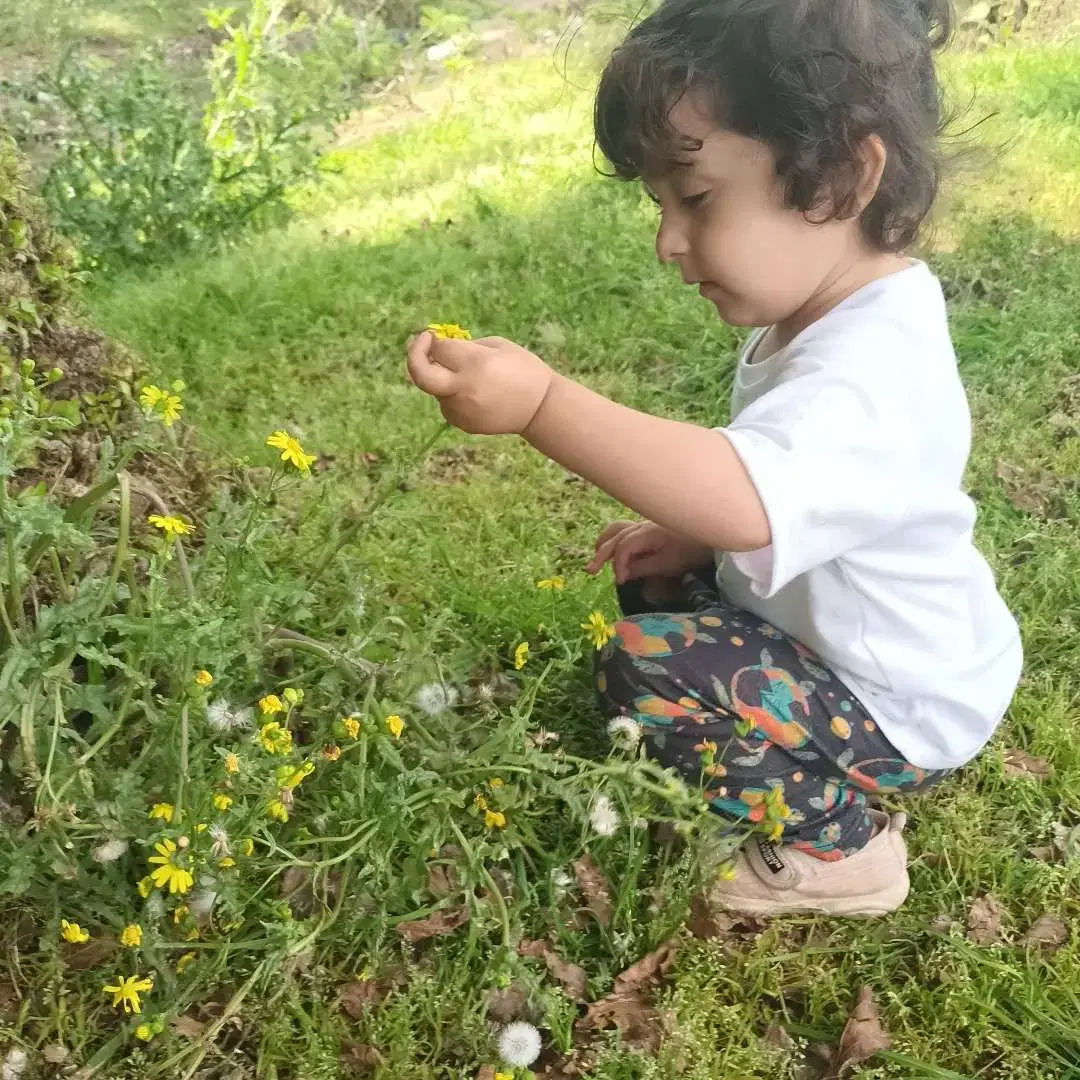 زمین