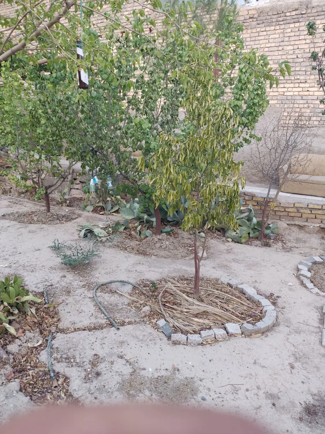 خونه باغ