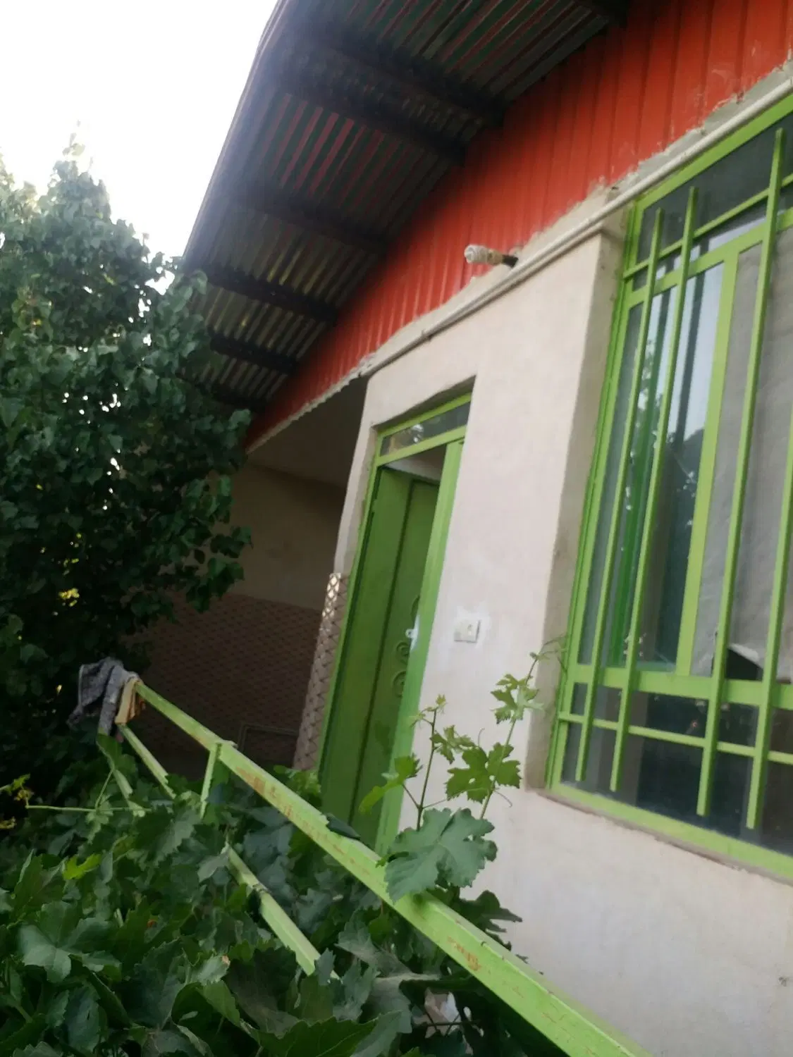 اجاره روزانه خانه باغ ویلایی