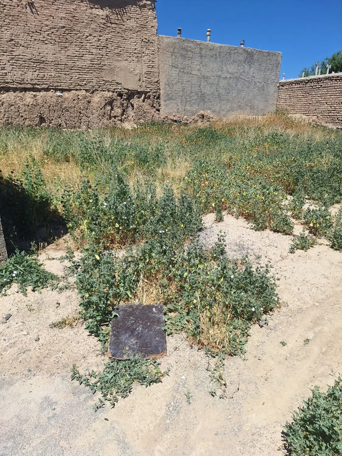 فروش زمین مسکونی