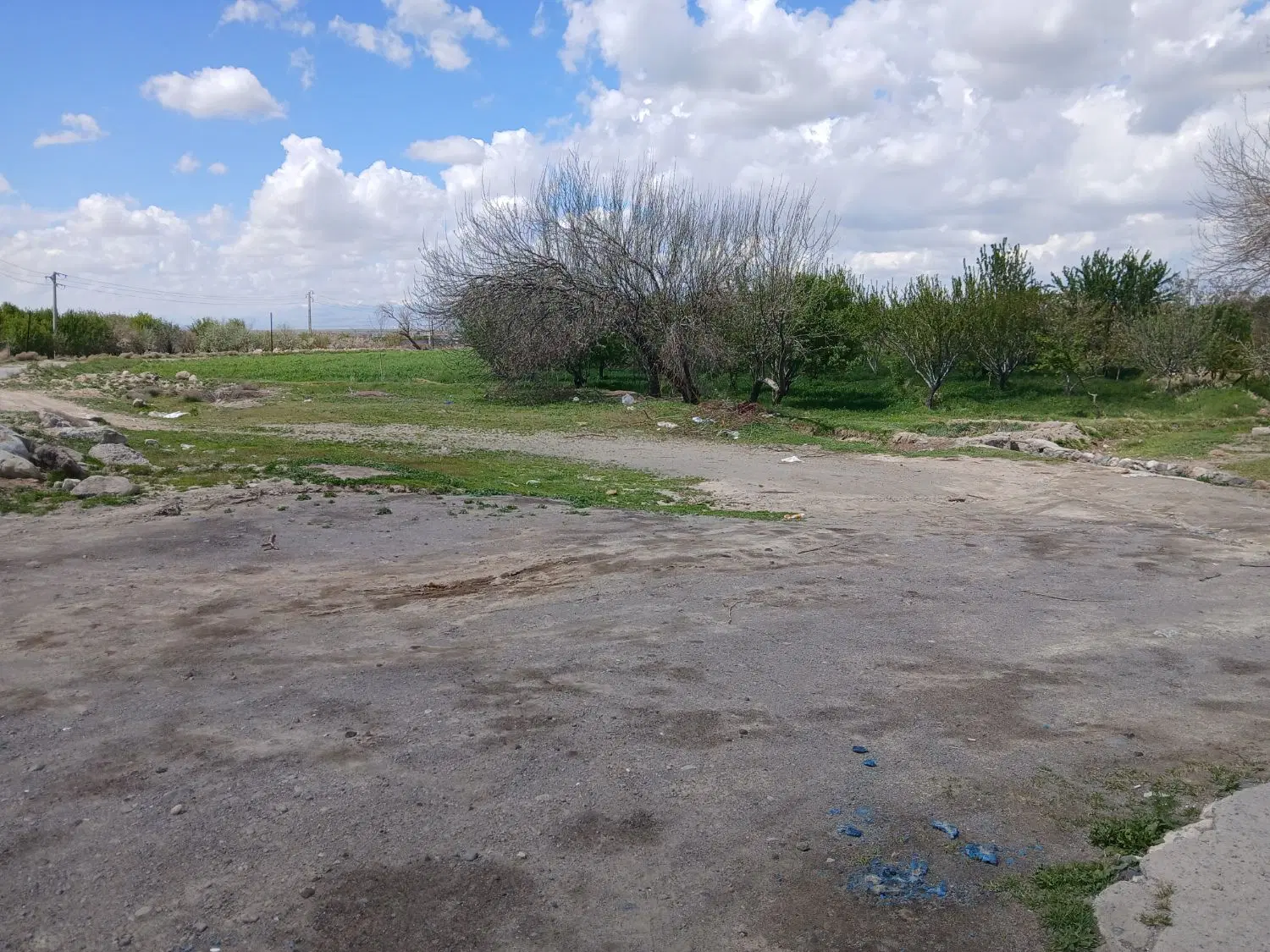 زمین تجاری بر خیابان