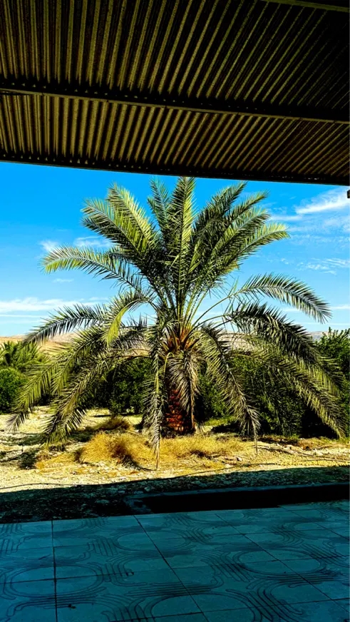 فروش زمین  ۲۶۹ متری سپیده
