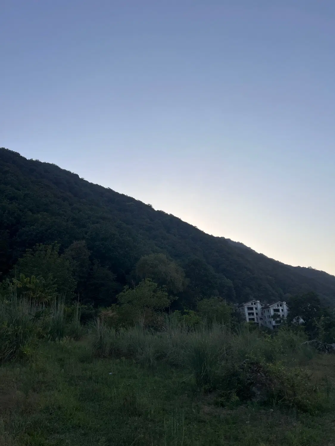 فروش زمین کاسبی باغات اربکله