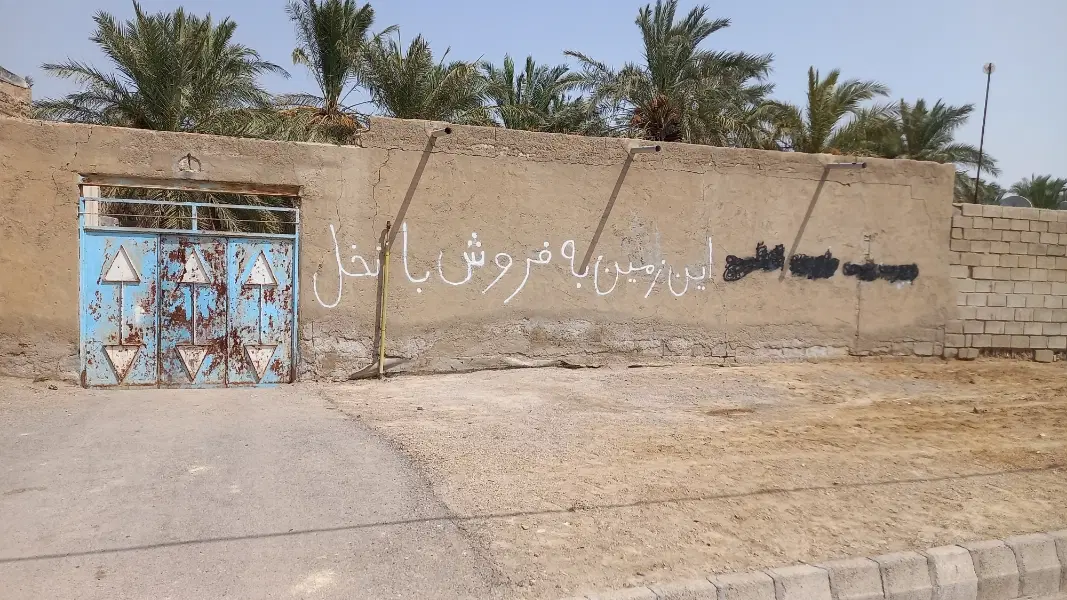 زمین به مساحت ۳ هکتار