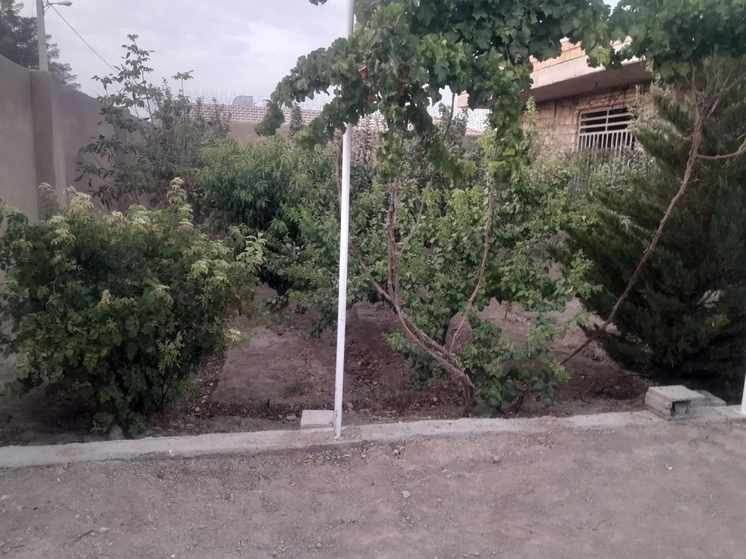 باغ ۵۰۰ متری گلدشت