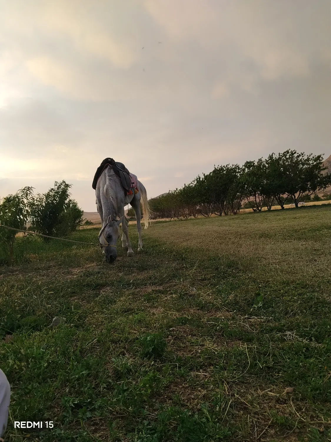 باغ بارده کوچه اختصاصی و موقعیت امن و آب موتور آب