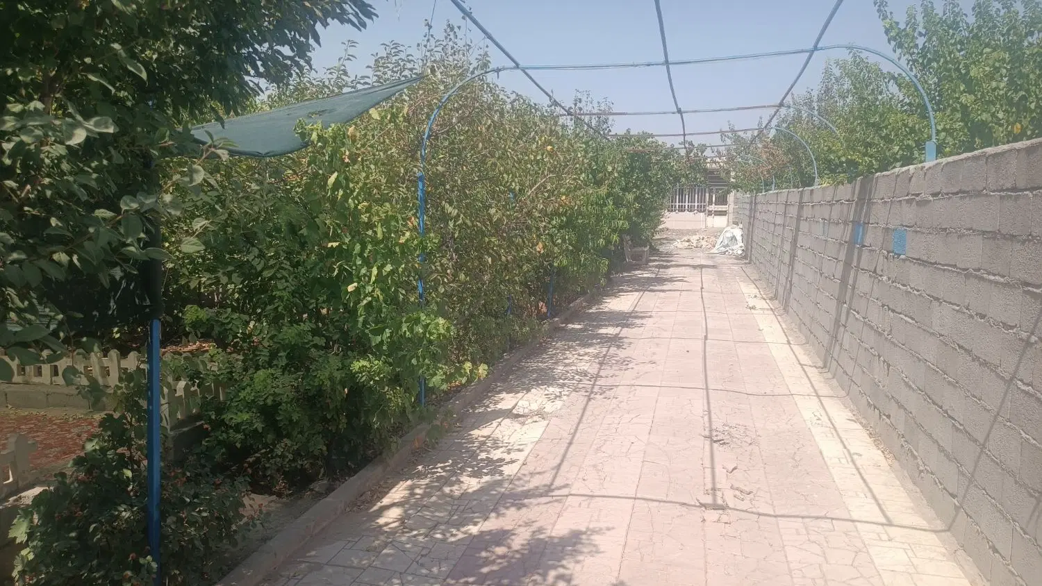 باغ مجتمع نوبهار