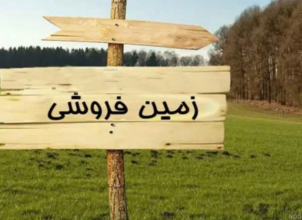 زمین فاز پنچ