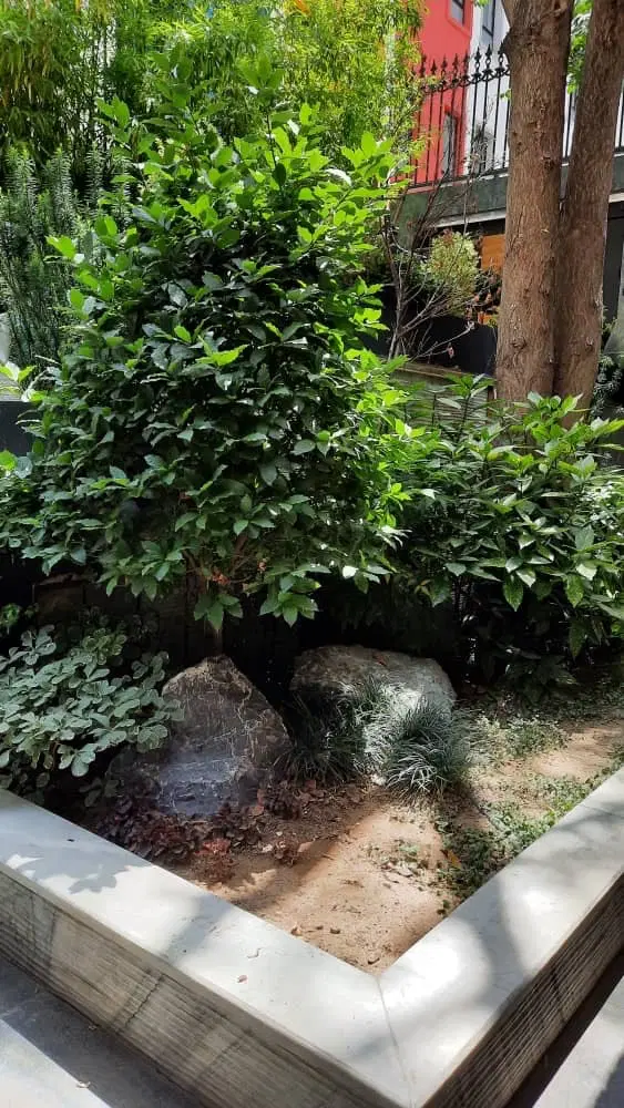 ۲۲۰ متر بهترین لوکیشن دروس