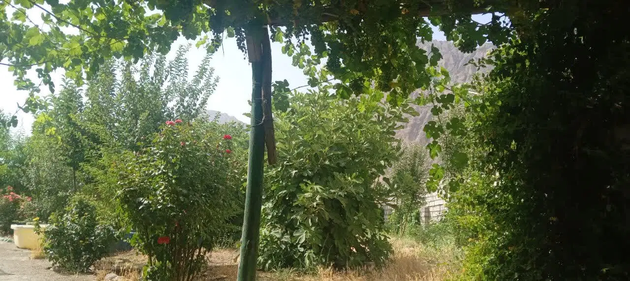 باغ واقع در قلعه سنگی