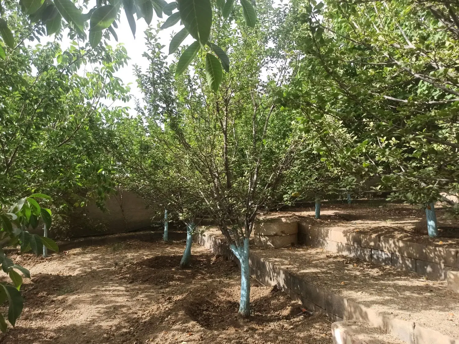 باغ ویلای خوش آب هوا