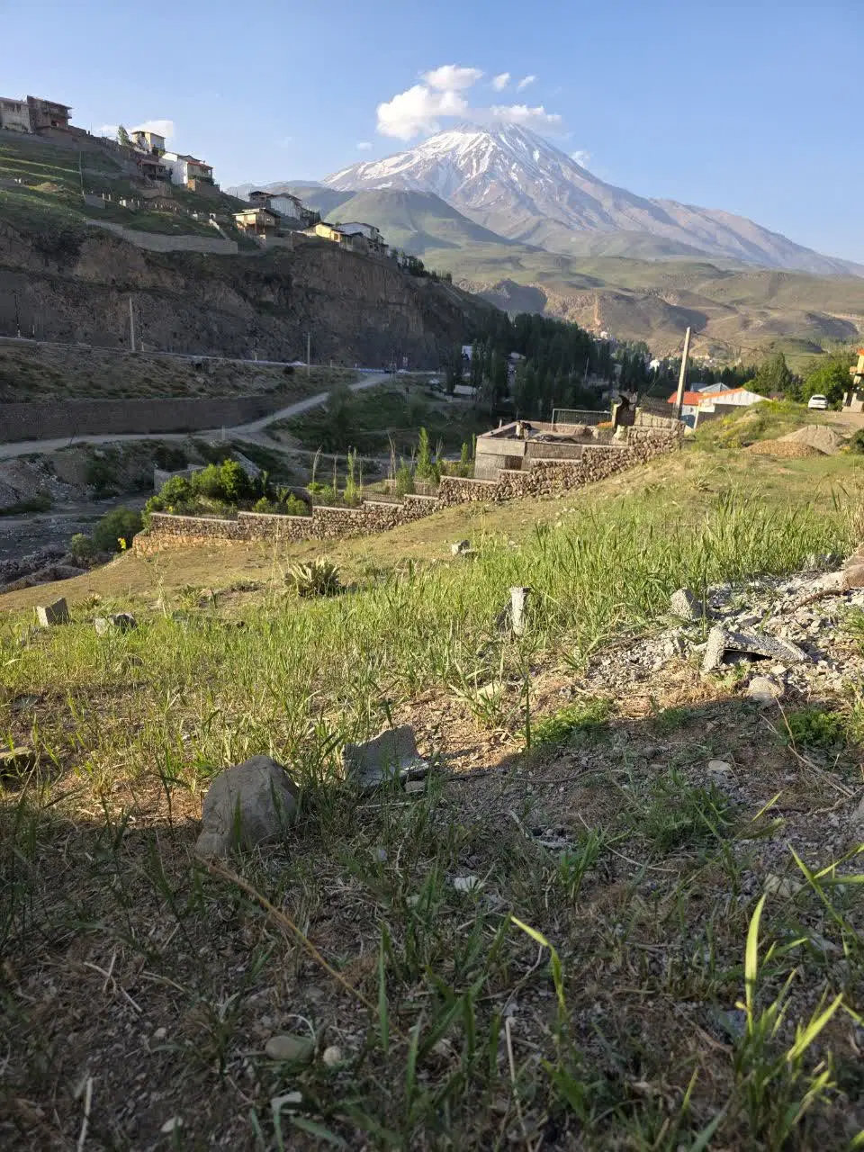 پلور کاردیچال