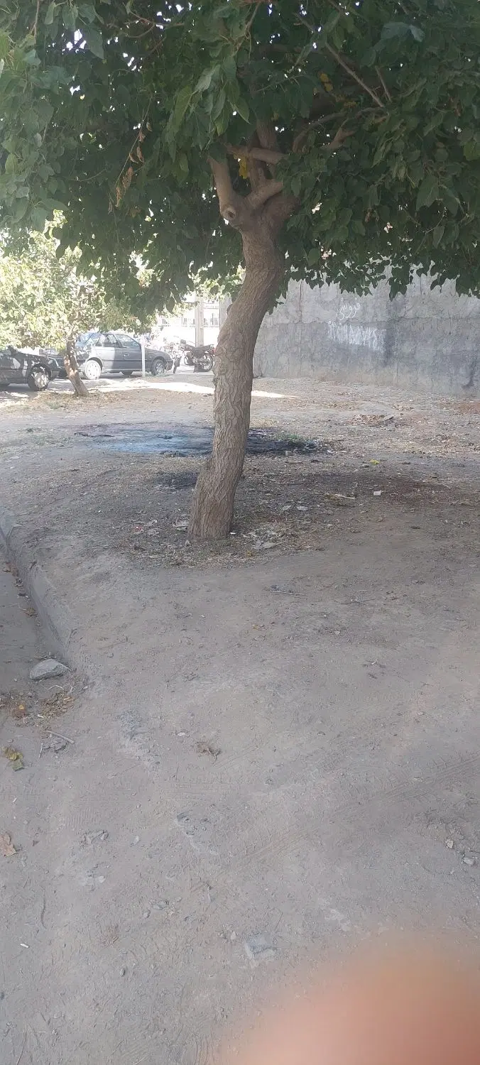 زمین در شهر ک ثامن ۱۲۰ متری