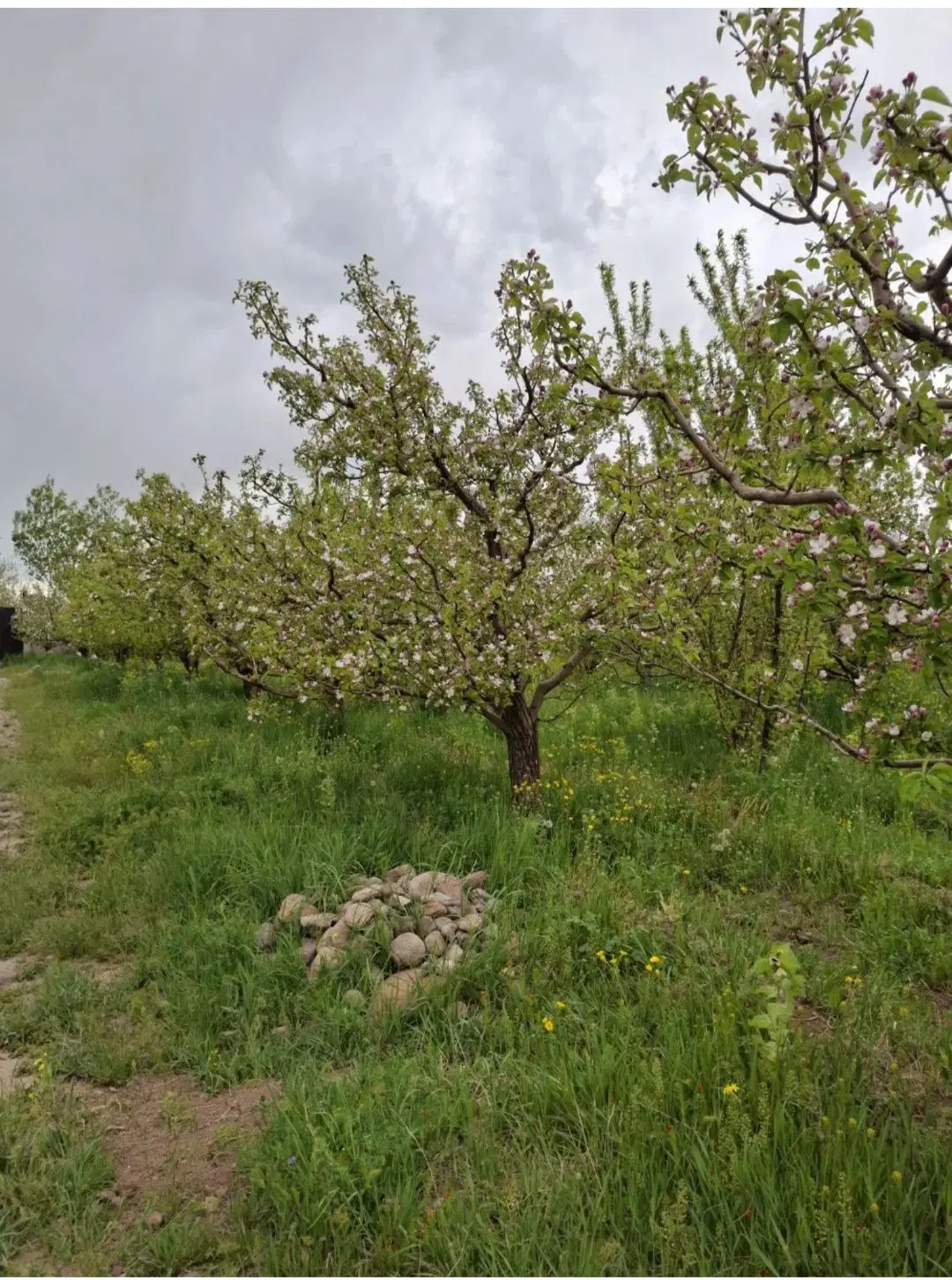 باغ ویلایی درکهل