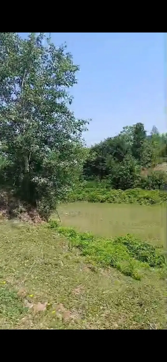 زمین