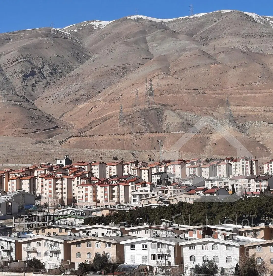 تریبلکس سند تک برگ