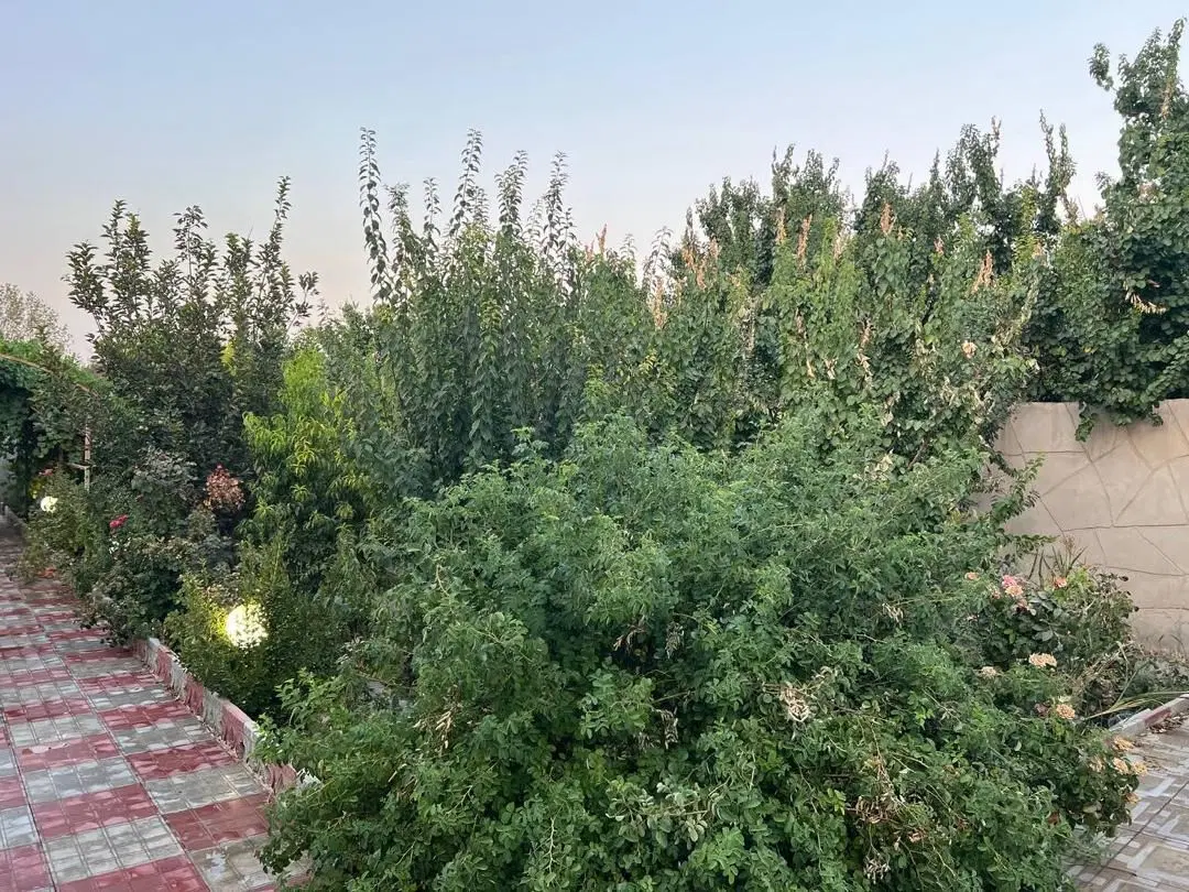 ویلا جمال آباد