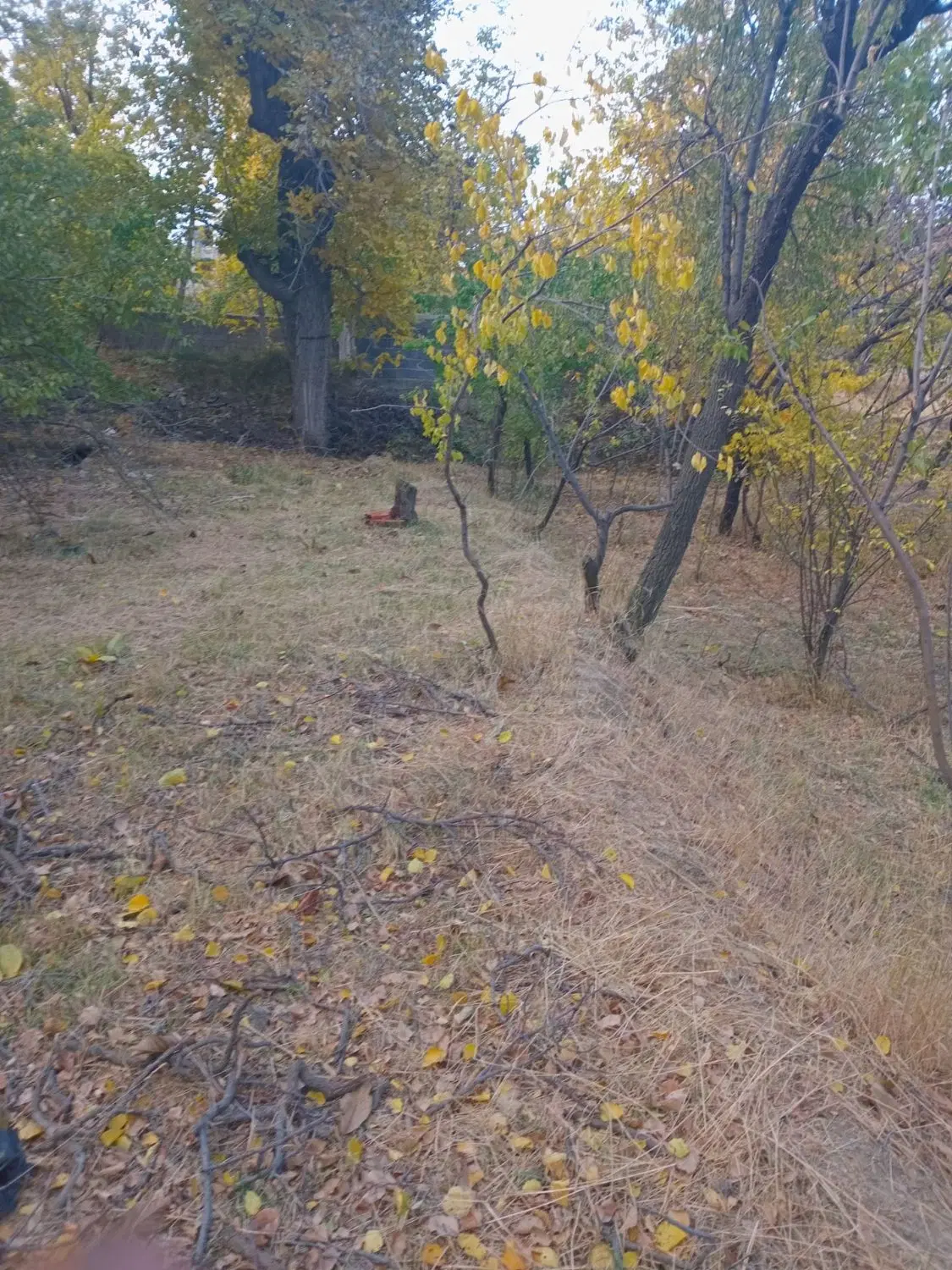 باغ واقع در سنگستان همدان
