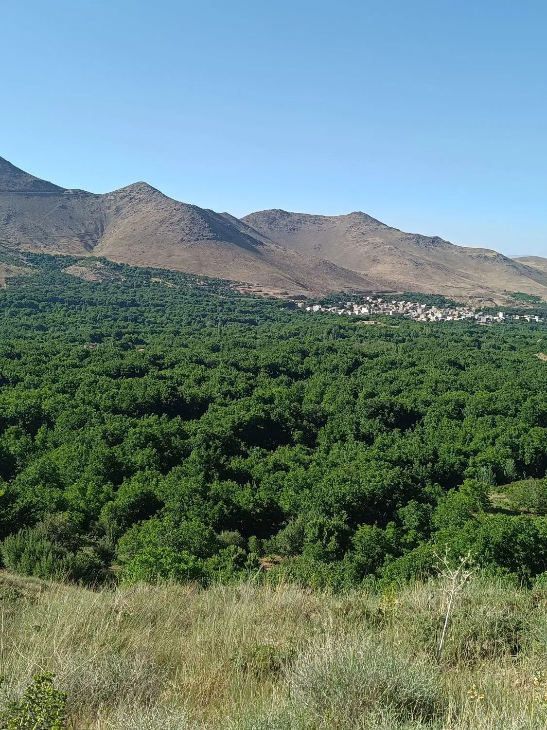 باغ چهار دیواری چشین