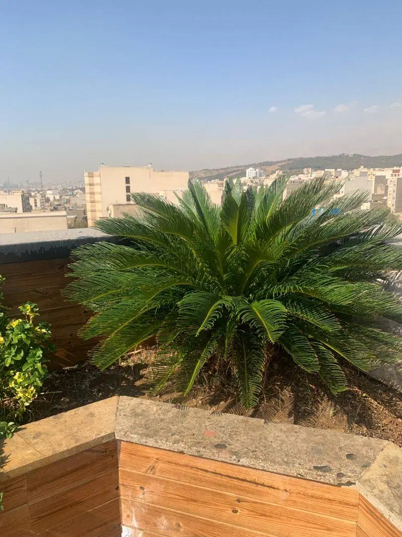 ۴۰متر مغازه براصلی فلکه دوم و سوم