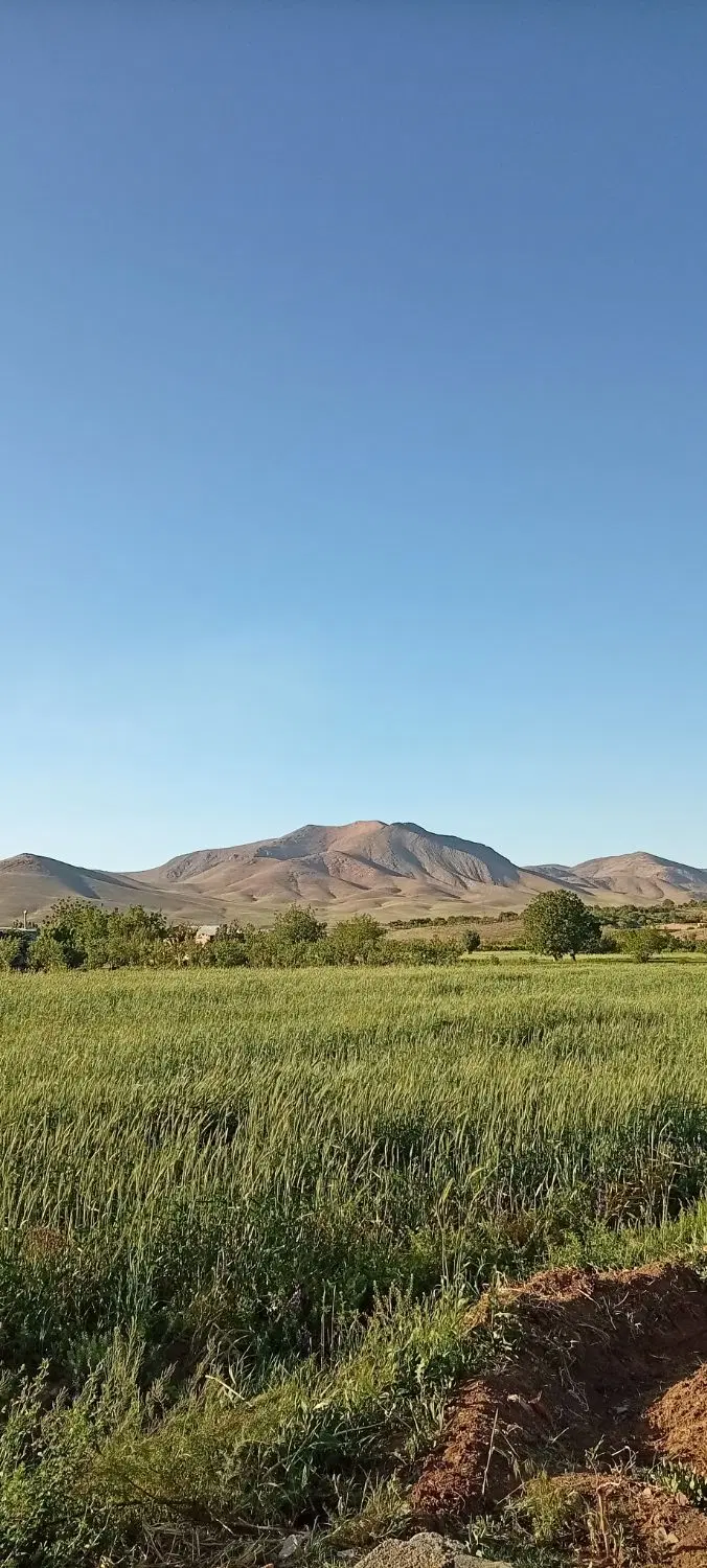 گوار چند قطعه زمین کشاورزی