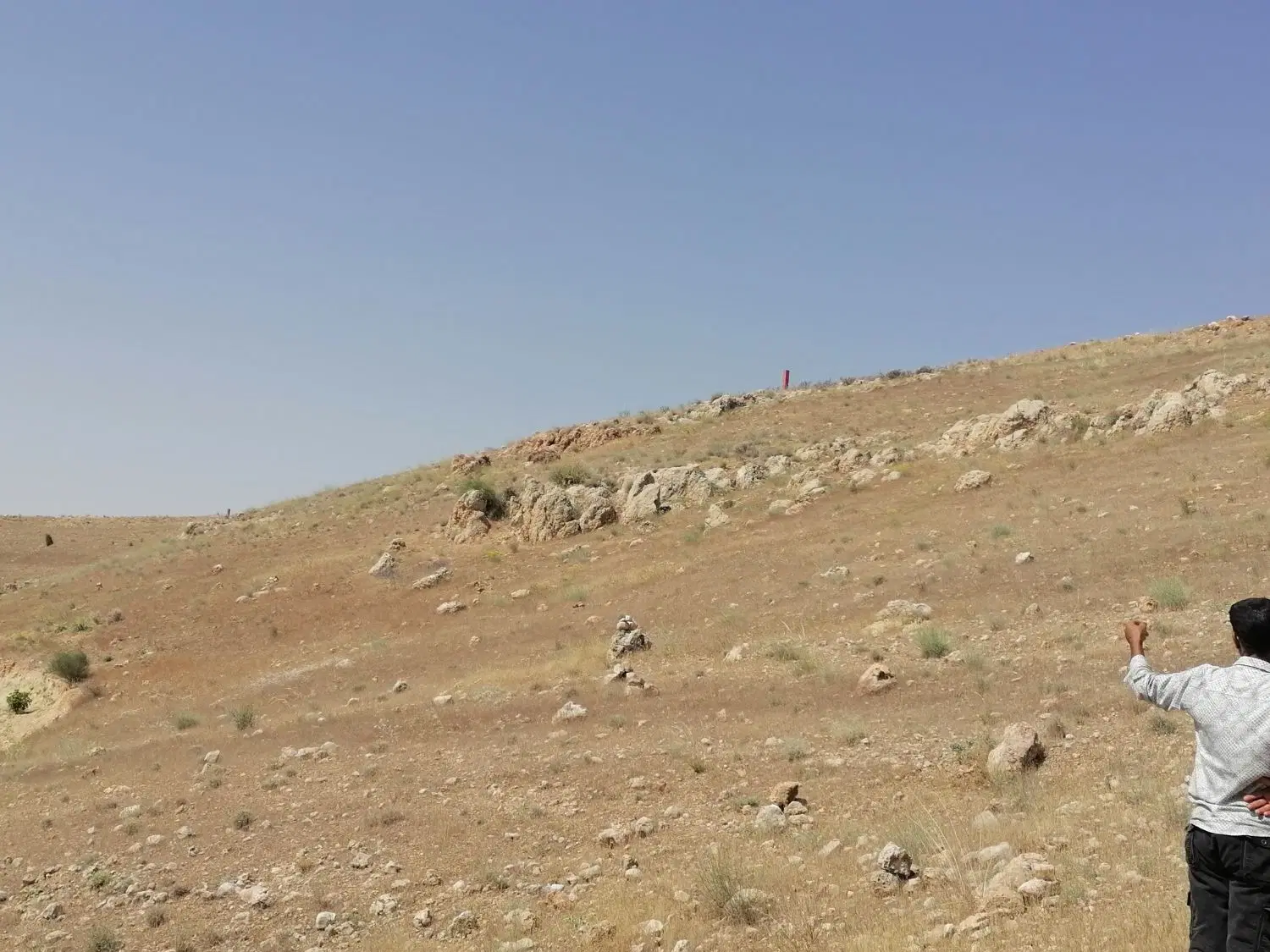 زمین