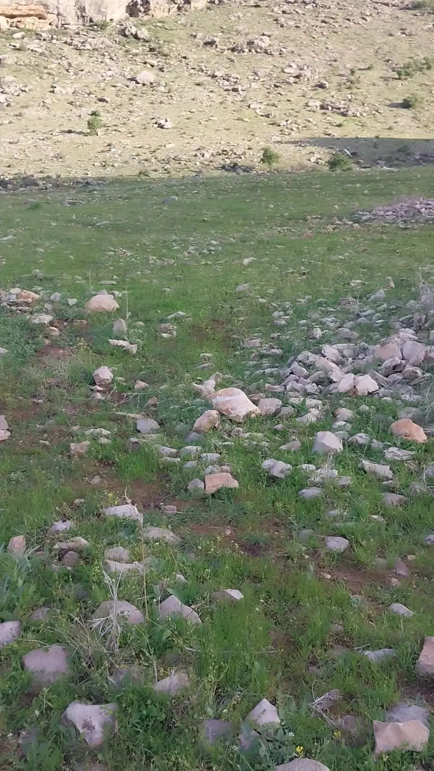 زمین کشاورزی