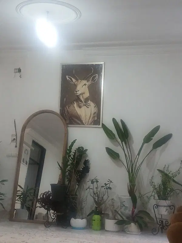منزل اپارتمانی