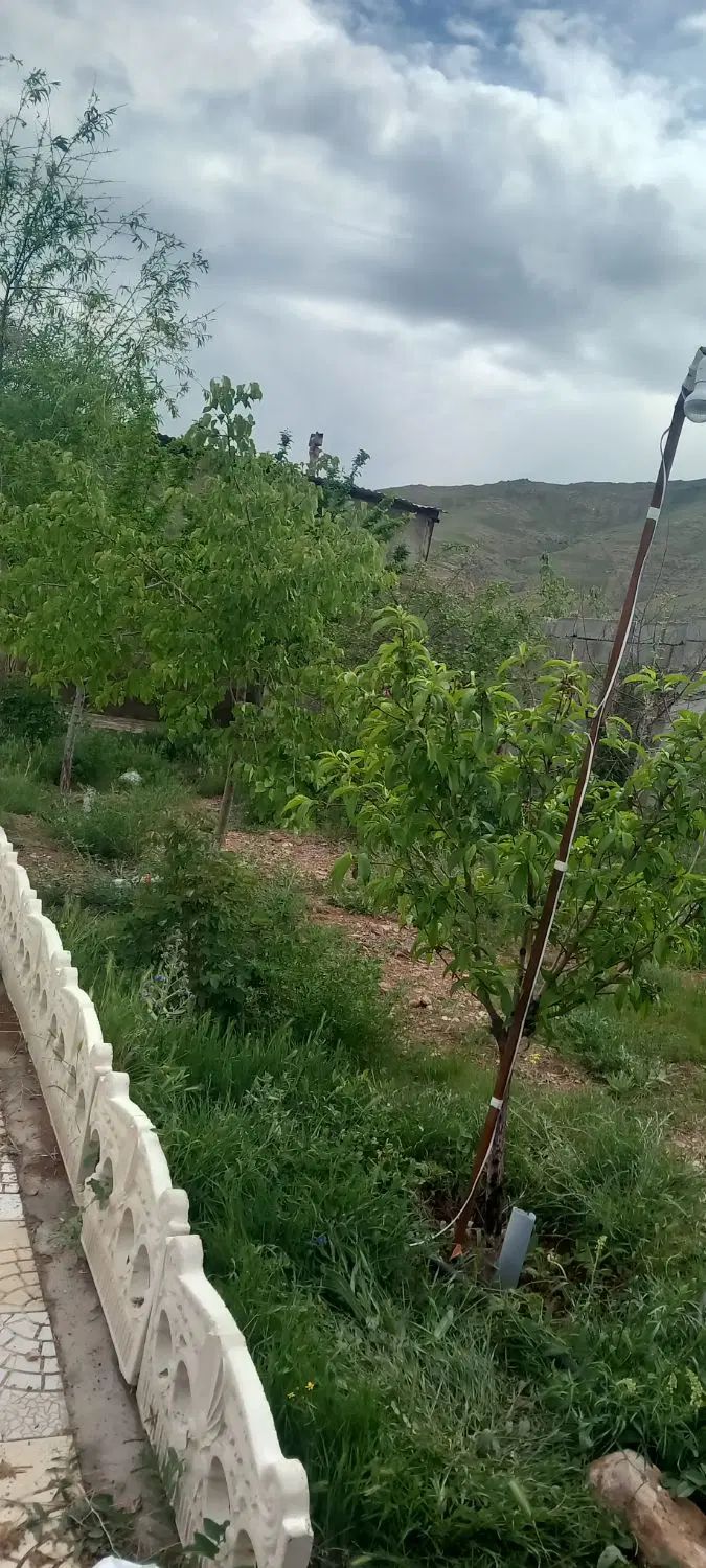 باغ در مزرعه