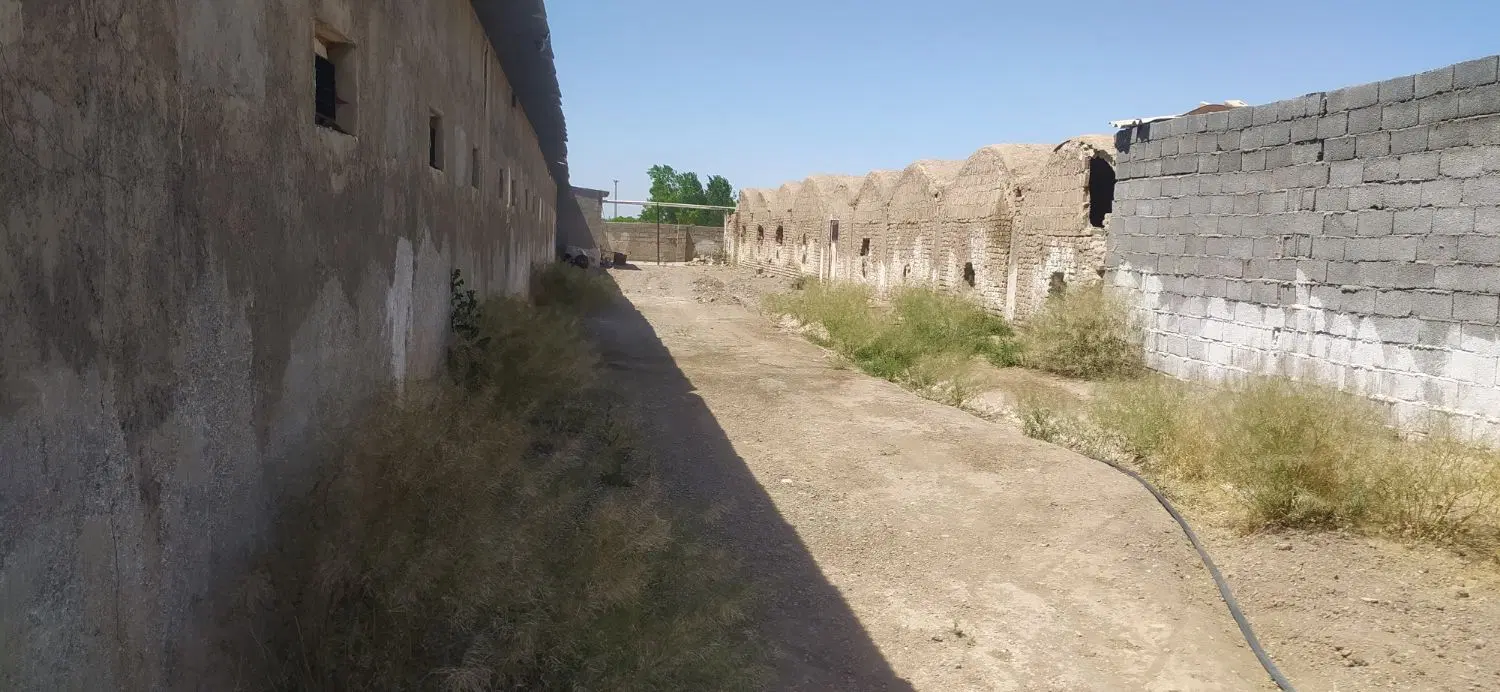 زمین کشاورزی از اراضی باسفهرجان