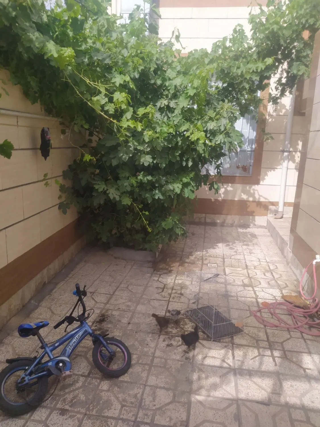 خانه فروشی ۱۲۰ متر سند شش دانگ آماده انتقال