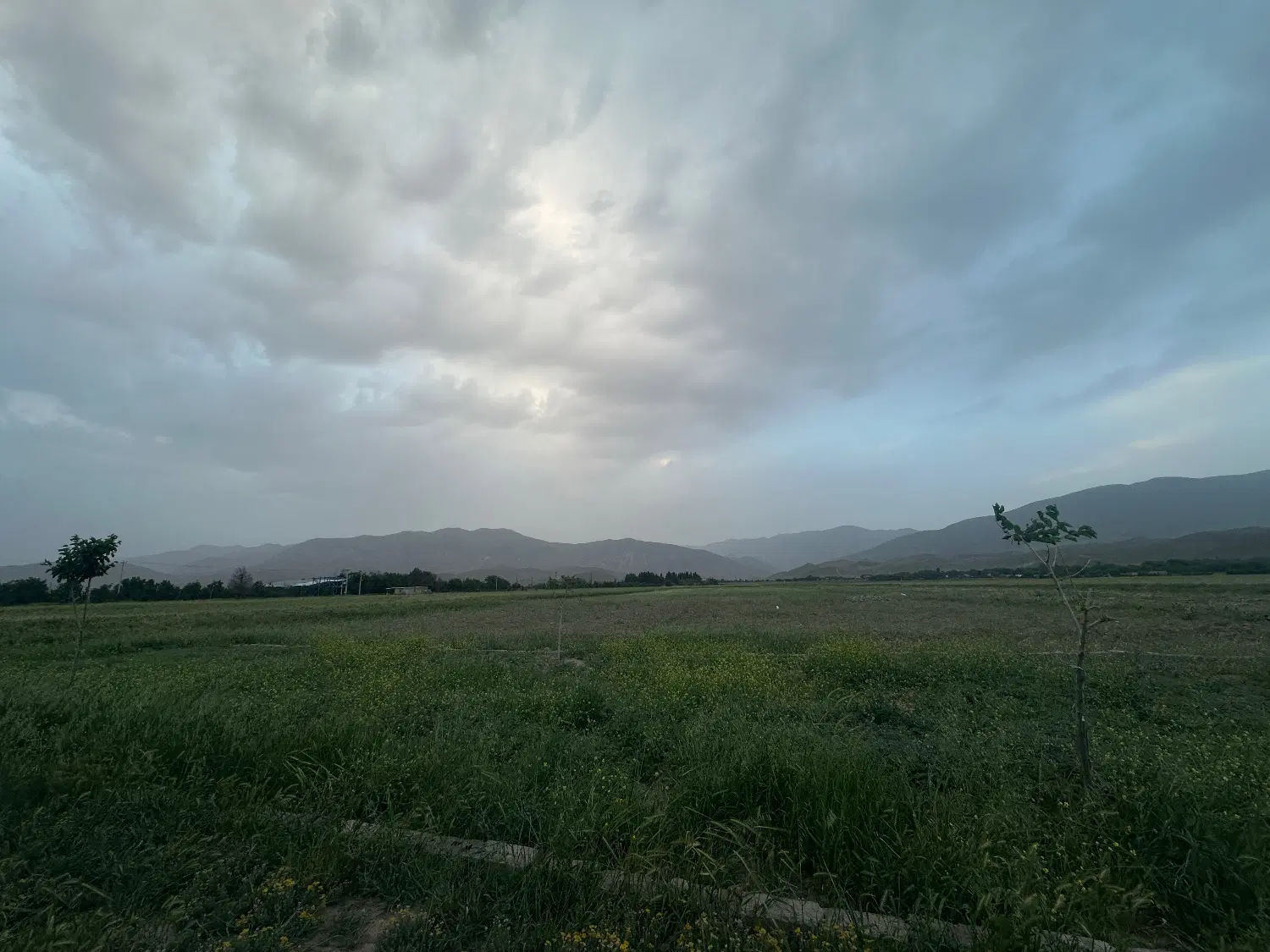 فروش زمین ۴۵۵ متری