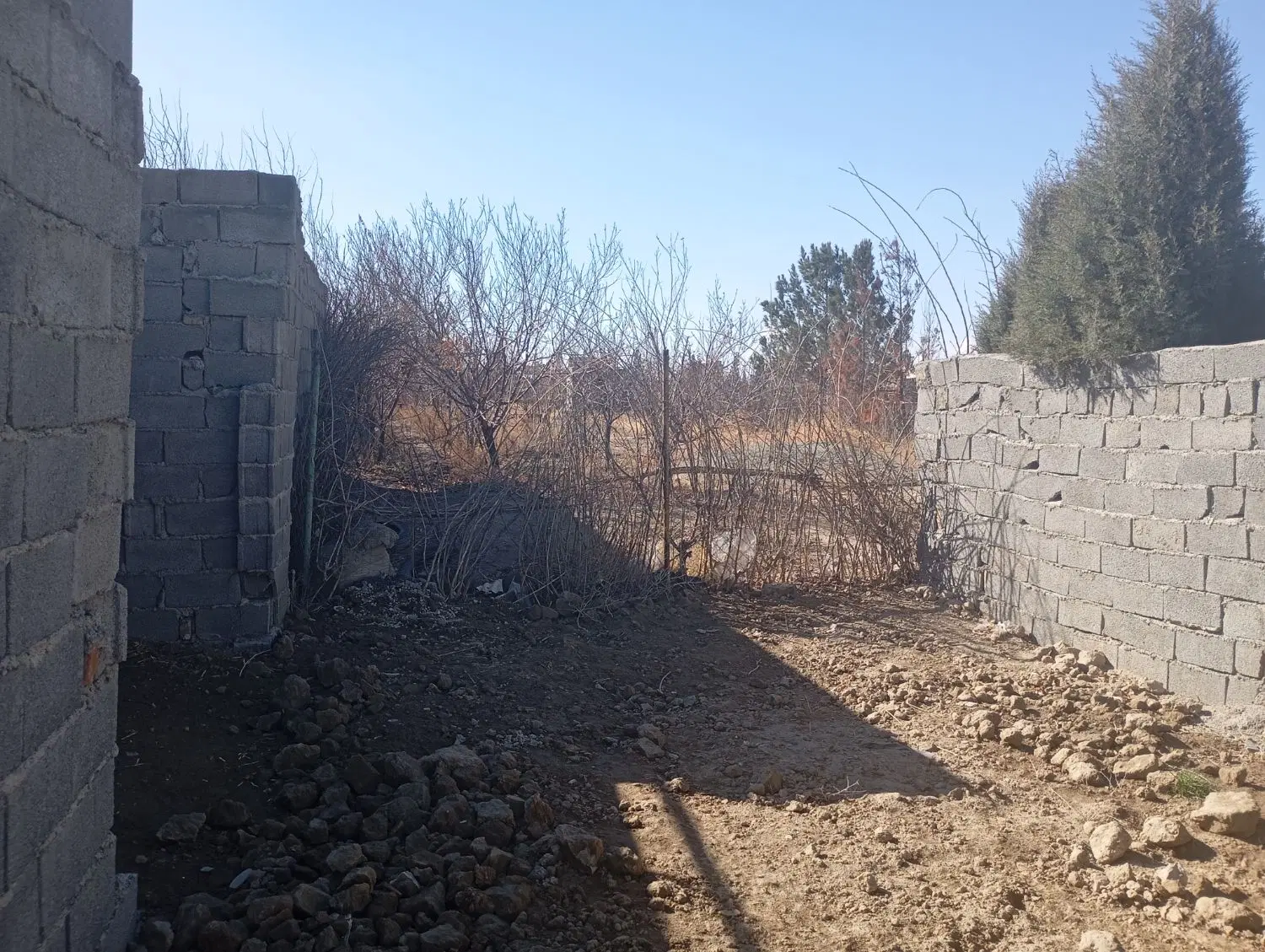 یک قطعه باغ