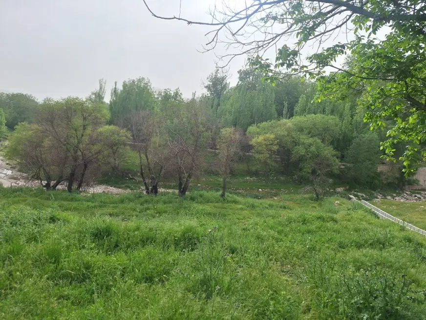 زمین باغ