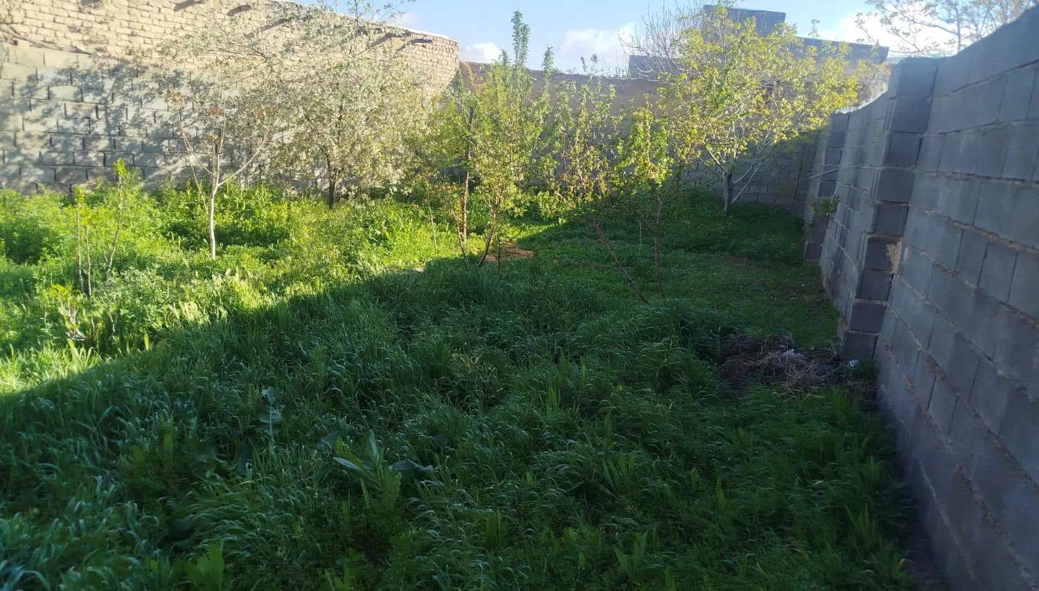 باغ زمین 190متری
