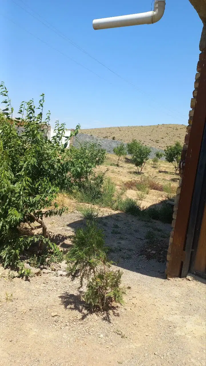 زمین و باغچه درختان بادام بارده