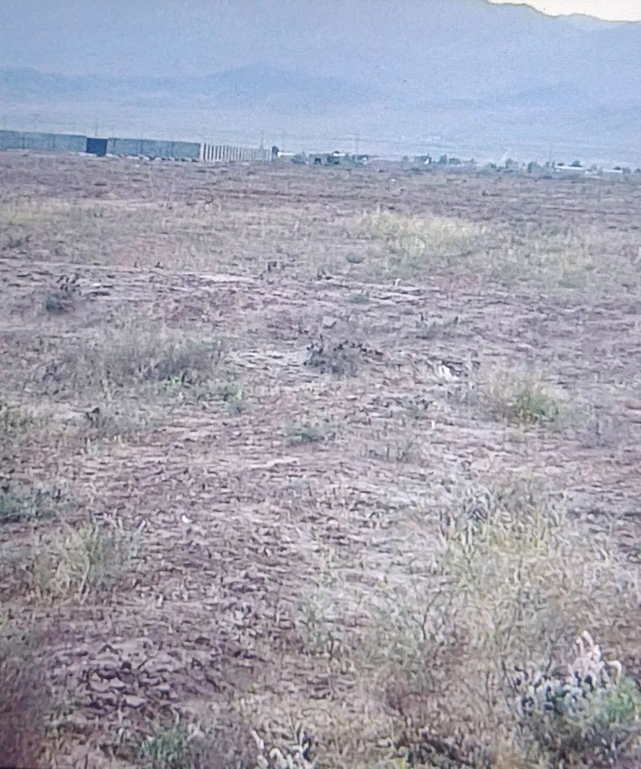زمین زراعی باغی زنگی آباد