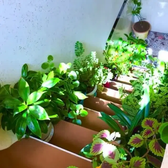 فروش منزل مسکونی