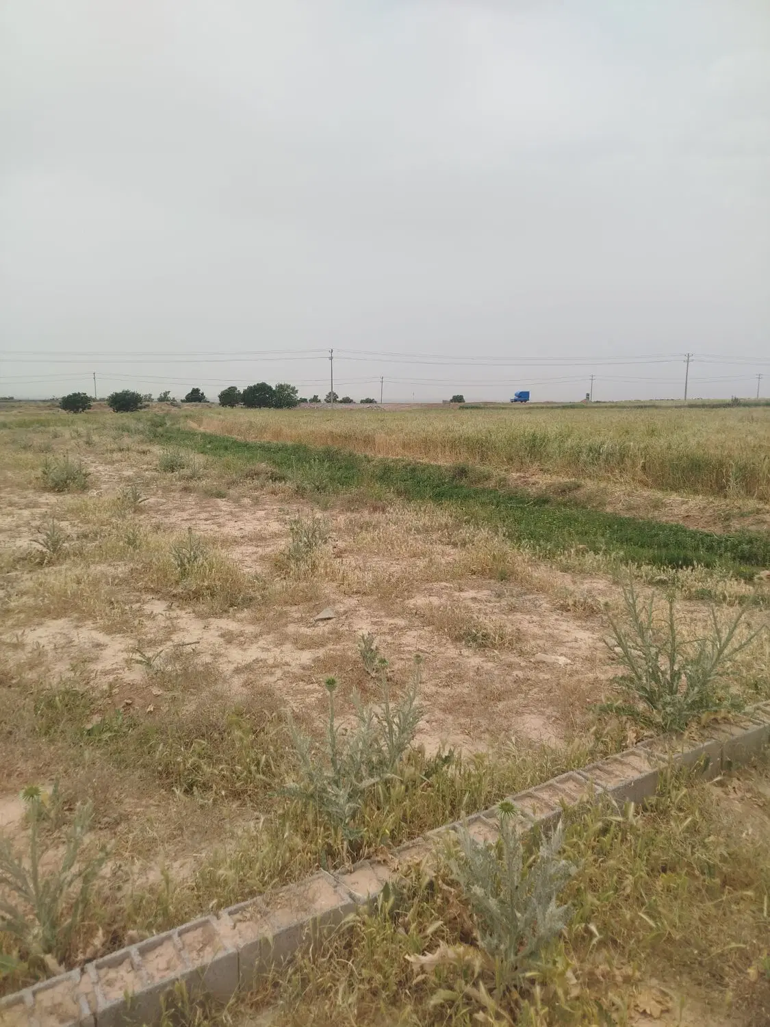 زمین حاشیه کمربندی روبروی کبوترخانه