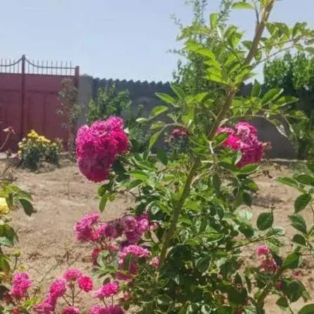 باغ کهنه‌آب