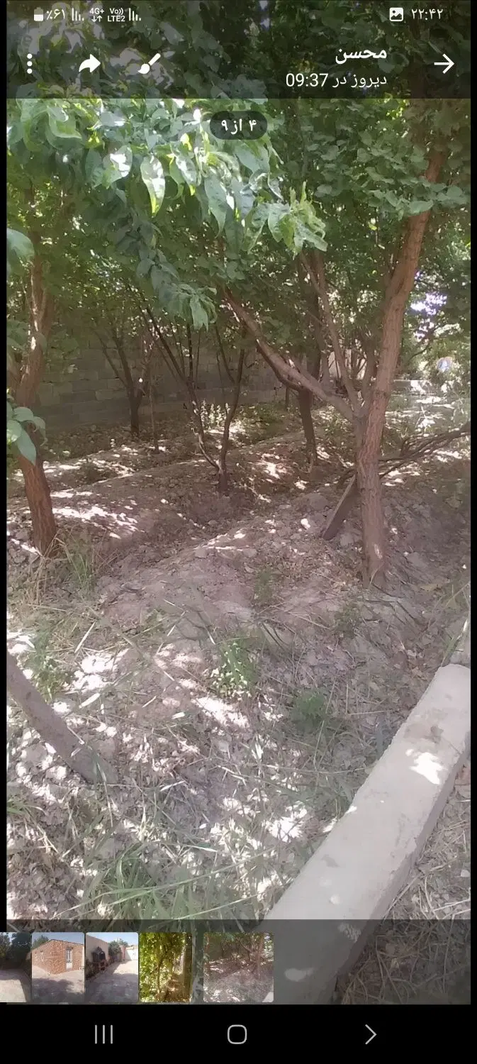 باغ ویلا