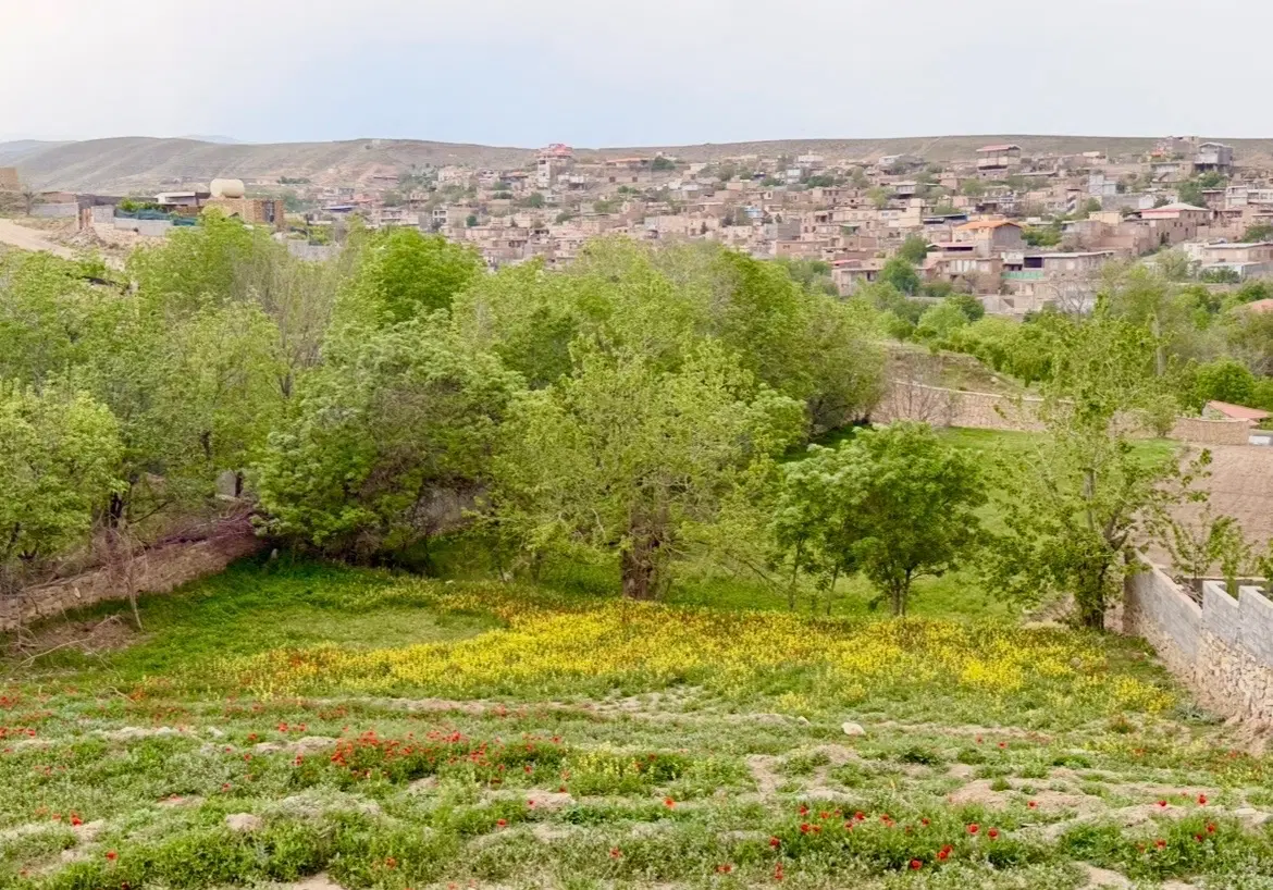 زمین گلمکان