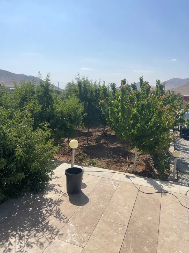 فروش باغ