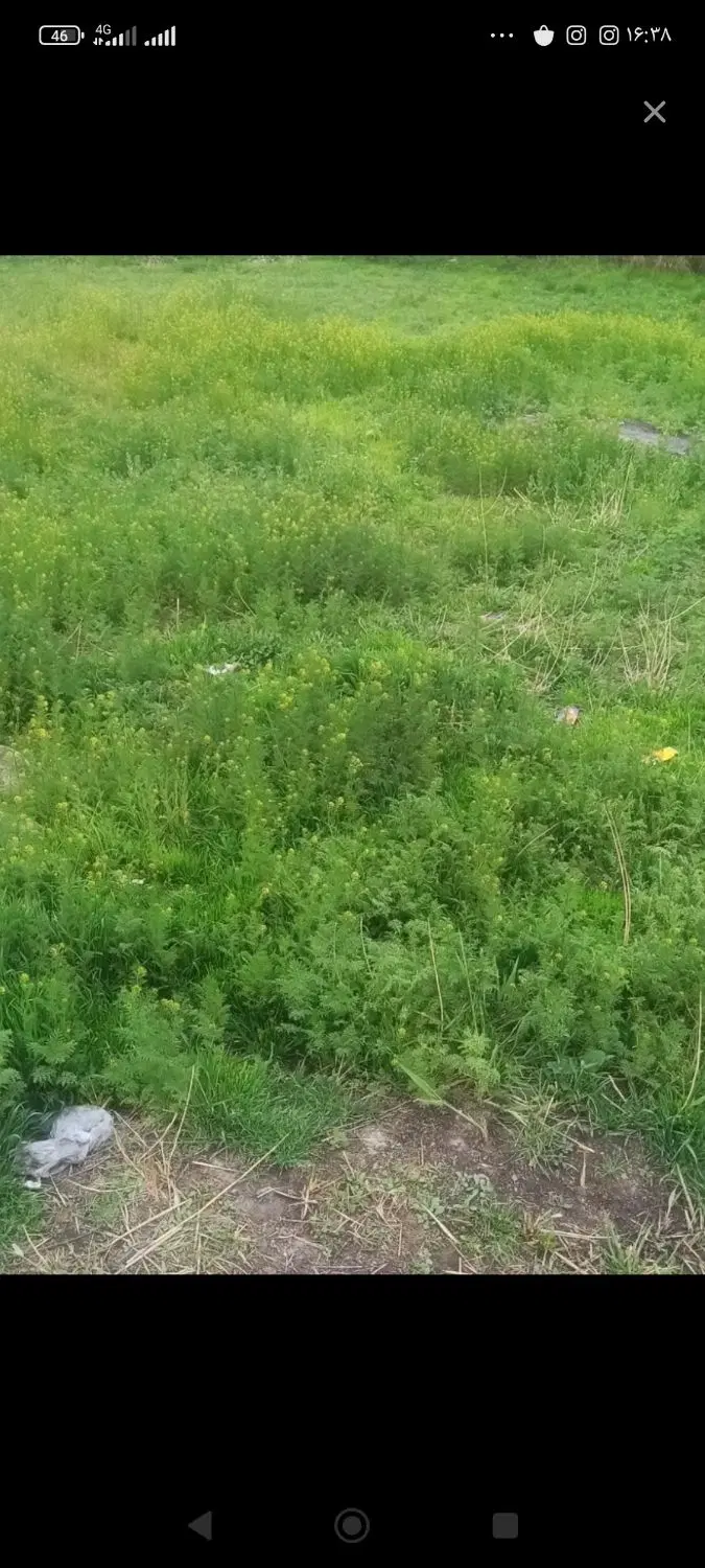 زمین در گلمرز