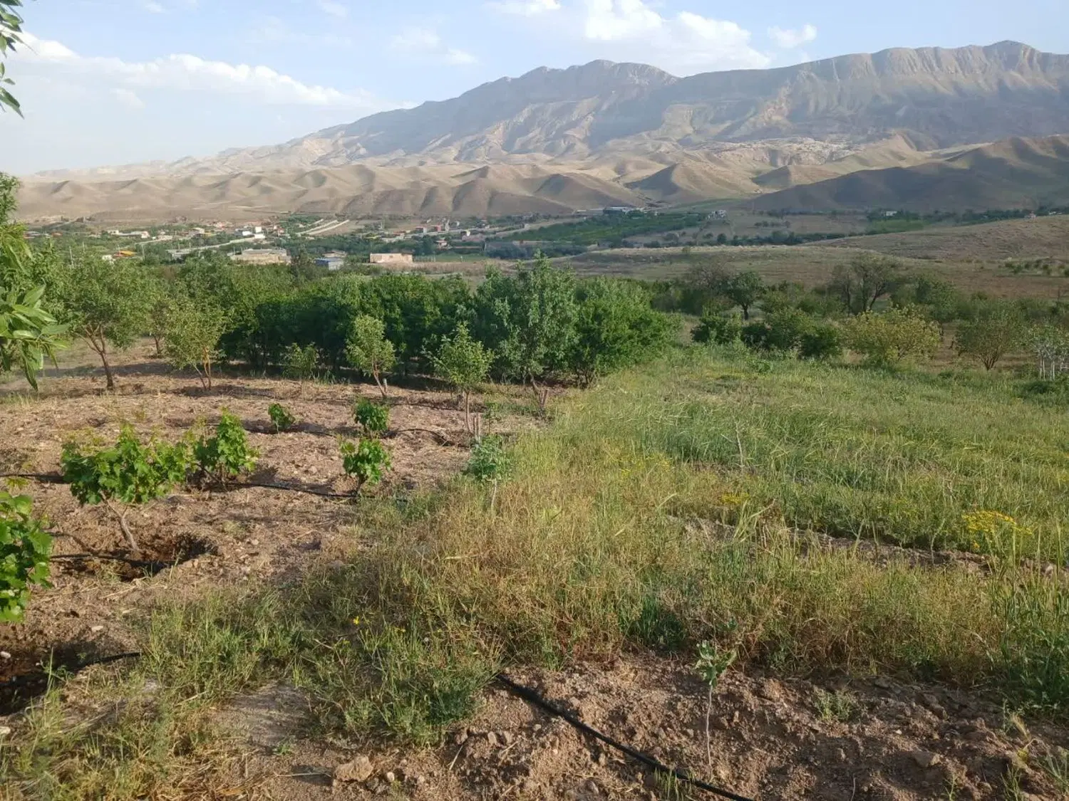 باغ در روستای زیبای رازین