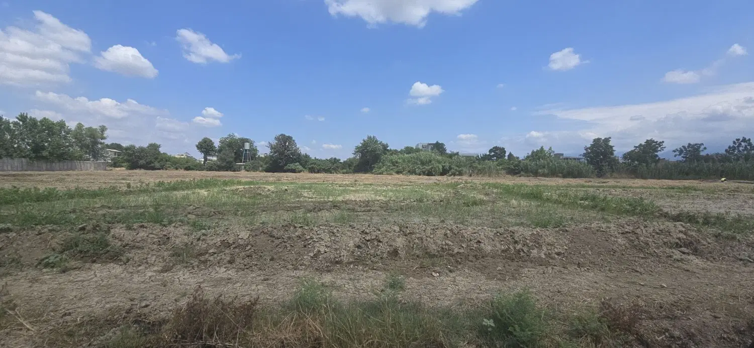 فروش زمین مناسب خانه باغ