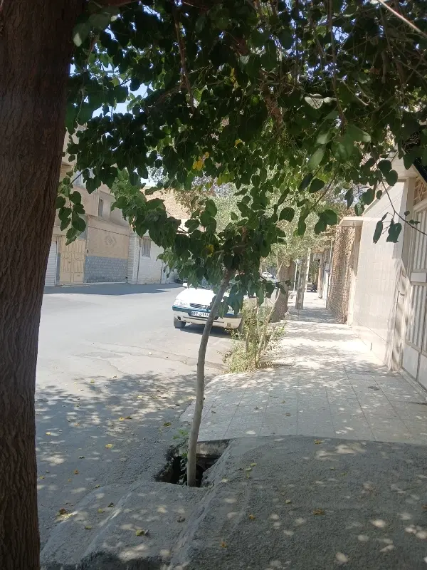 اجاره مغازه
